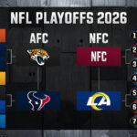 NFL Playoff Picture